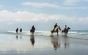 Beach rides with Kimmerston Riding Centre